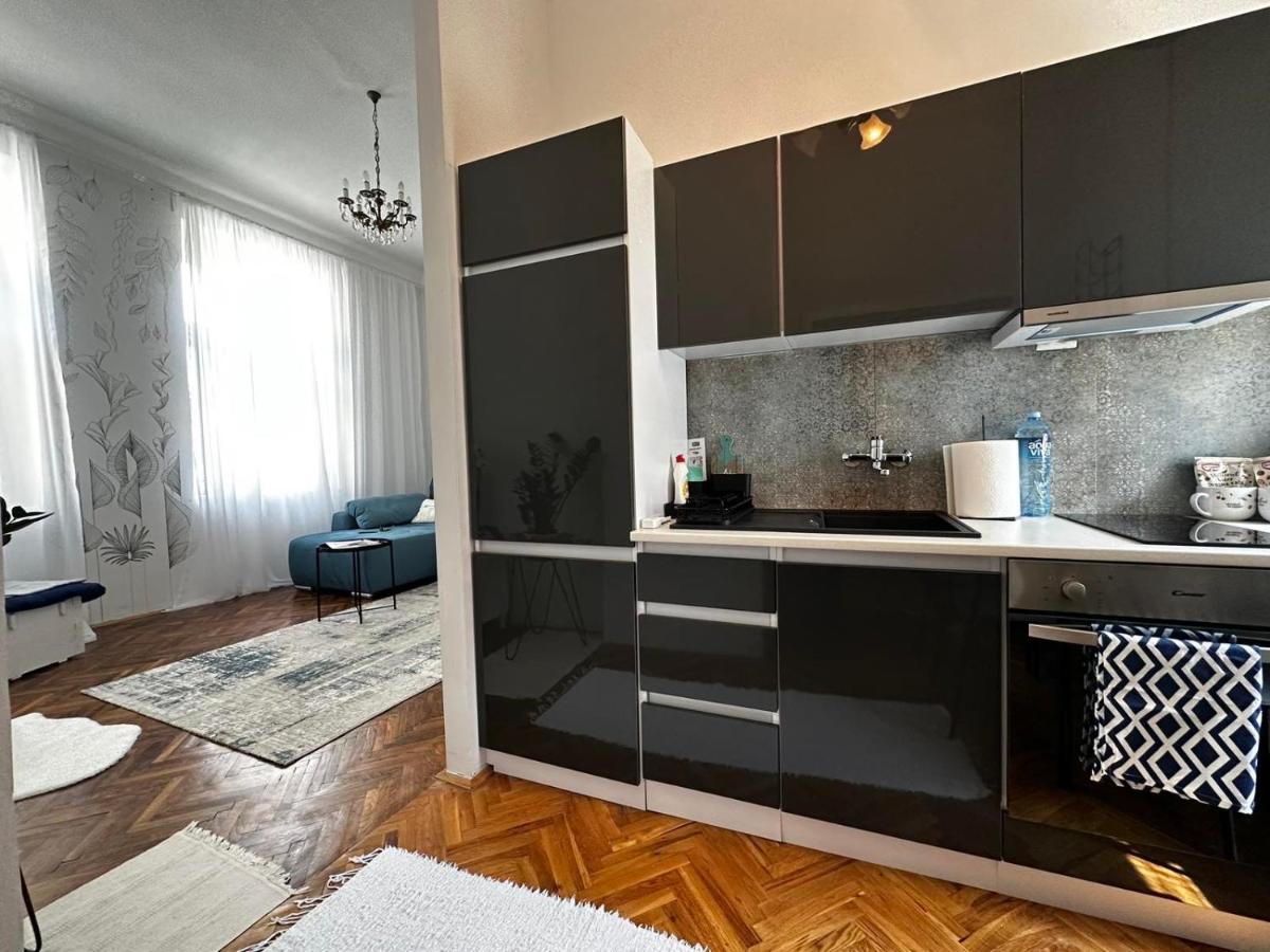 Pure Of Joy City Centre Apartment Суботиця Екстер'єр фото